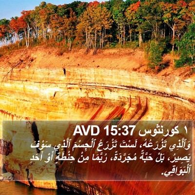 ١ كورنثوس 15:37 AVD Bible Verse Image