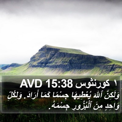 ١ كورنثوس 15:38 AVD Bible Verse Image