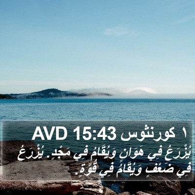 ١ كورنثوس 15:43 AVD Bible Verse Image