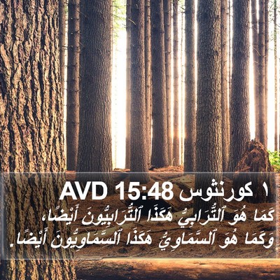 ١ كورنثوس 15:48 AVD Bible Verse Image