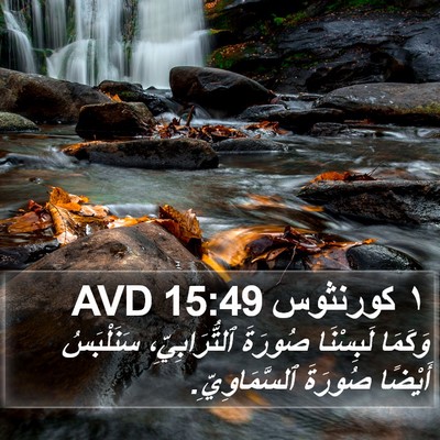 ١ كورنثوس 15:49 AVD Bible Verse Image