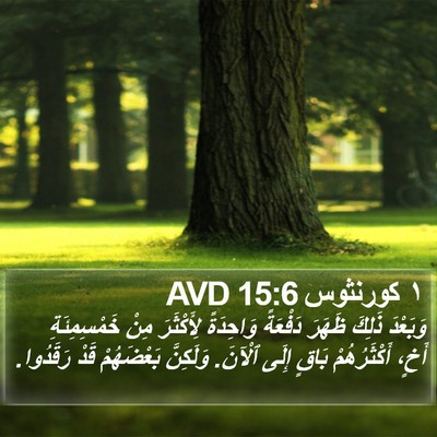 ١ كورنثوس 15:6 AVD Bible Verse Image