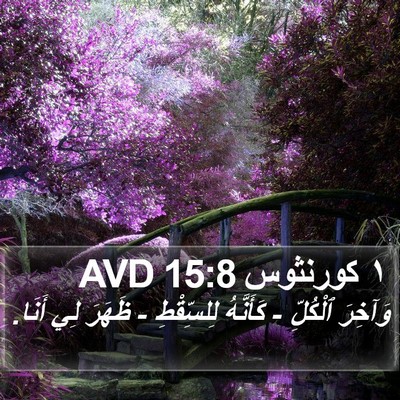 ١ كورنثوس 15:8 AVD Bible Verse Image
