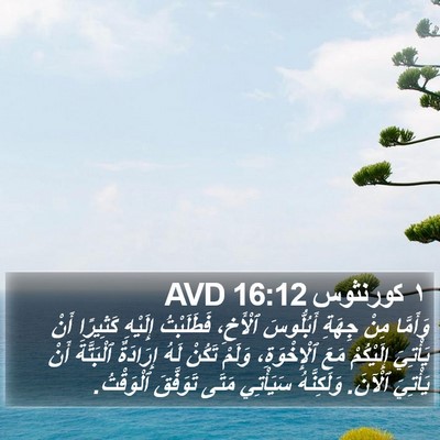 ١ كورنثوس 16:12 AVD Bible Verse Image