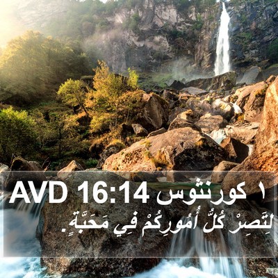 ١ كورنثوس 16:14 AVD Bible Verse Image