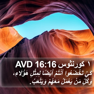 ١ كورنثوس 16:16 AVD Bible Verse Image