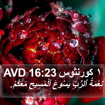 ١ كورنثوس 16:23 AVD Bible Verse Image