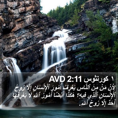 ١ كورنثوس 2:11 AVD Bible Verse Image