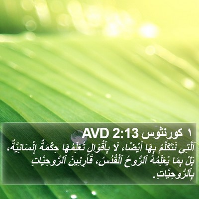 ١ كورنثوس 2:13 AVD Bible Verse Image