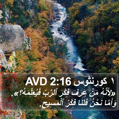 ١ كورنثوس 2:16 AVD Bible Verse Image
