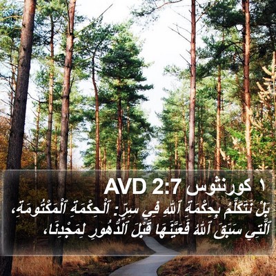 ١ كورنثوس 2:7 AVD Bible Verse Image