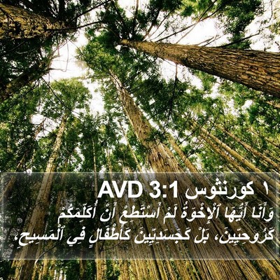 ١ كورنثوس 3:1 AVD Bible Verse Image