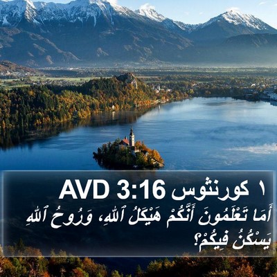 ١ كورنثوس 3:16 AVD Bible Verse Image