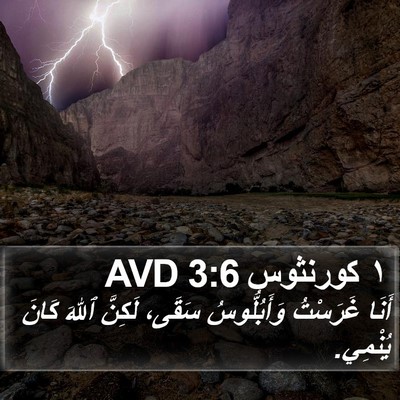 ١ كورنثوس 3:6 AVD Bible Verse Image