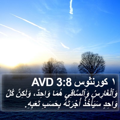 ١ كورنثوس 3:8 AVD Bible Verse Image