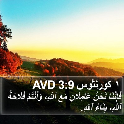 ١ كورنثوس 3:9 AVD Bible Verse Image