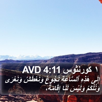 ١ كورنثوس 4:11 AVD Bible Verse Image