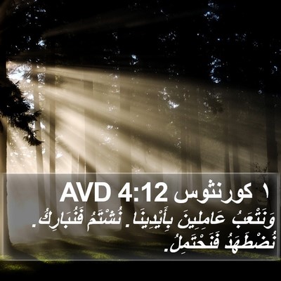 ١ كورنثوس 4:12 AVD Bible Verse Image