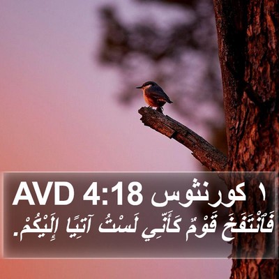 ١ كورنثوس 4:18 AVD Bible Verse Image
