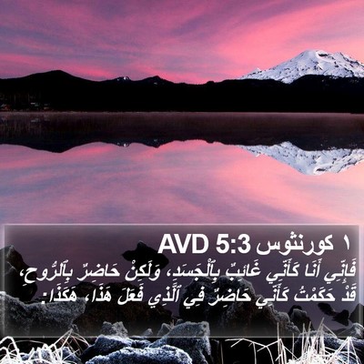 ١ كورنثوس 5:3 AVD Bible Verse Image