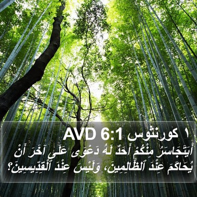 ١ كورنثوس 6:1 AVD Bible Verse Image