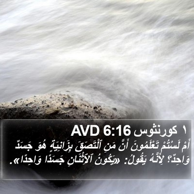 ١ كورنثوس 6:16 AVD Bible Verse Image