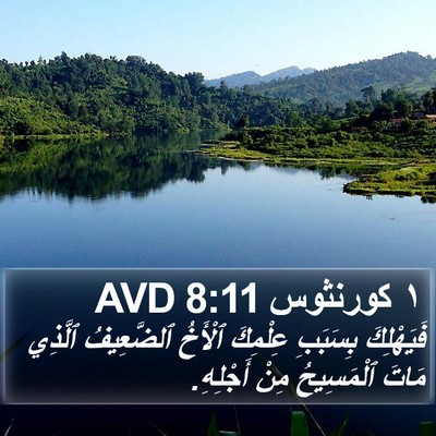 ١ كورنثوس 8:11 AVD Bible Verse Image
