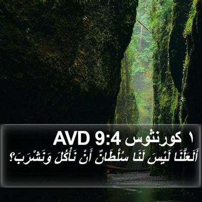 ١ كورنثوس 9:4 AVD Bible Verse Image
