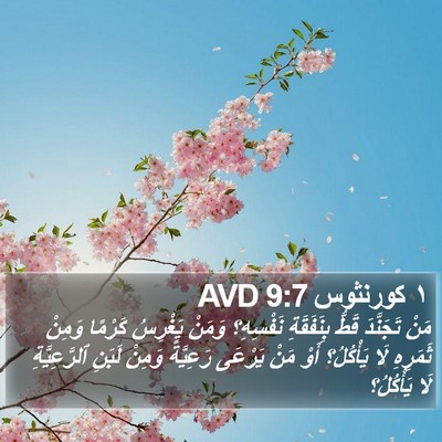 ١ كورنثوس 9:7 AVD Bible Verse Image