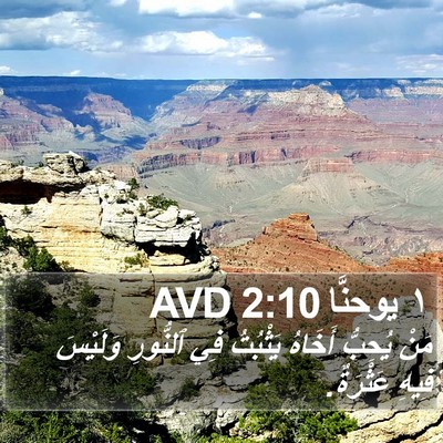١ يوحنَّا 2:10 AVD Bible Verse Image