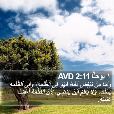 ١ يوحنَّا 2:11 AVD Bible Verse Image