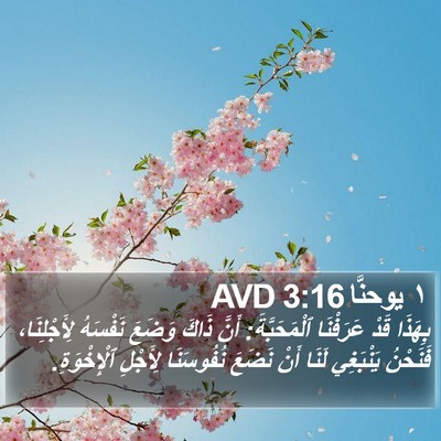 ١ يوحنَّا 3:16 AVD Bible Verse Image