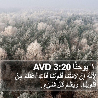 ١ يوحنَّا 3:20 AVD Bible Verse Image