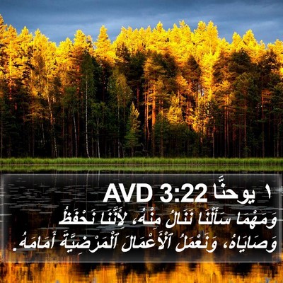 ١ يوحنَّا 3:22 AVD Bible Verse Image