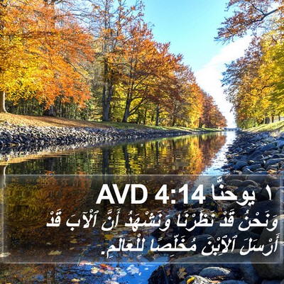 ١ يوحنَّا 4:14 AVD Bible Verse Image