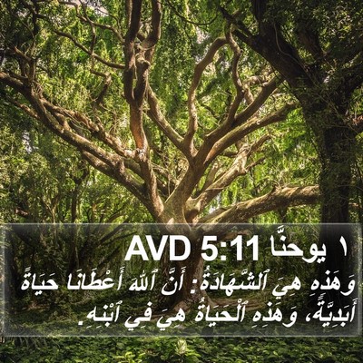 ١ يوحنَّا 5:11 AVD Bible Verse Image