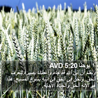 ١ يوحنَّا 5:20 AVD Bible Verse Image