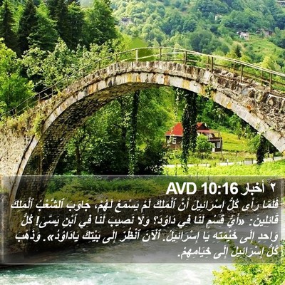 ٢ أخبار 10:16 AVD Bible Verse Image