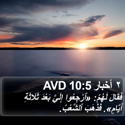 ٢ أخبار 10:5 AVD Bible Verse Image