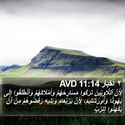 ٢ أخبار 11:14 AVD Bible Verse Image