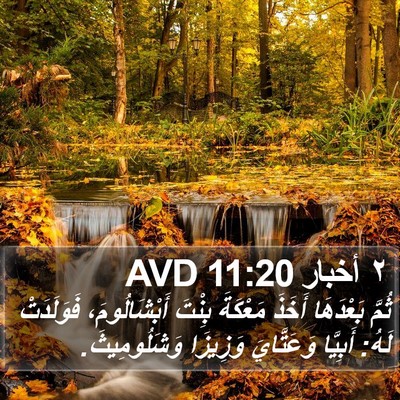 ٢ أخبار 11:20 AVD Bible Verse Image