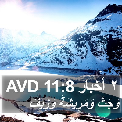 ٢ أخبار 11:8 AVD Bible Verse Image