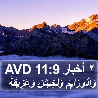 ٢ أخبار 11:9 AVD Bible Verse Image