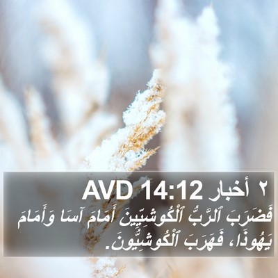 ٢ أخبار 14:12 AVD Bible Verse Image