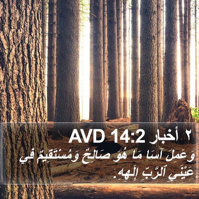 ٢ أخبار 14:2 AVD Bible Verse Image