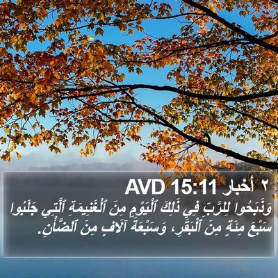 ٢ أخبار 15:11 AVD Bible Verse Image