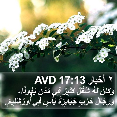 ٢ أخبار 17:13 AVD Bible Verse Image