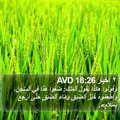 ٢ أخبار 18:26 AVD Bible Verse Image