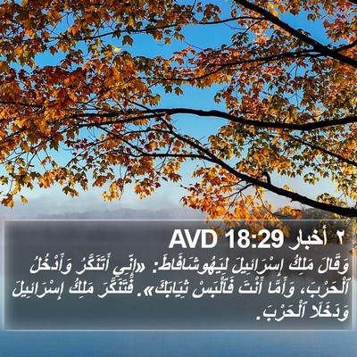 ٢ أخبار 18:29 AVD Bible Verse Image