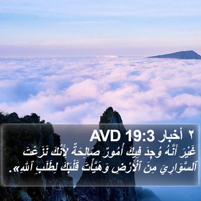 ٢ أخبار 19:3 AVD Bible Verse Image